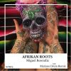 Download track Afrikan Roots (Mariano Drum Remix)