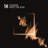 Download track Face The Sun