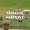 Download track Tranquil Harmony