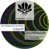 Download track Crazy (Cari Lekebusch Mix)