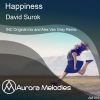 Download track Happiness (Alex Van Gray Remix)