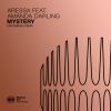 Download track Mystery (Unterberg Extended Remix)