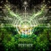 Download track Jungle Atlantide