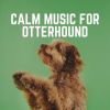 Download track Peace-Loving Pet