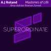 Download track Mysteries Of Life (Tomek Rmx)