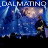 Download track Ditelina S Četri Lista (Live 2022)