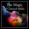Download track Mozart: Minuet In C Major, K. 15f