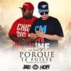 Download track Porque Te Fuiste