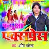 Download track Tora Didi Me Daal Dehani