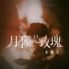 Download track 月季还是玫瑰 (伴奏)