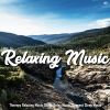 Download track Purification Relaxing Tibetan Meditation