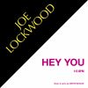 Download track Hey You (Instrumental Without Chorus)