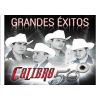 Download track Gente Batallosa (A Dueto Con Banda Carnaval)