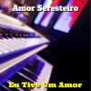 Download track Eu Tive Um Amor (Cover)