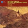 Download track Strauss: Don Quixote, Op. 35, TrV 184: Introduction. Mässiges Zeitmass