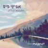 Download track Yerushalayim Shel Zahav