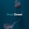 Download track Deep Ocean, Pt. 25