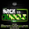 Download track Back To Jungle, Vol. 2 (Pt. 3) (Continuous DJ Mix)