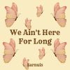 Download track We Ain't Here For Long