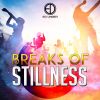 Download track Breaks Of Stillness (Extended)