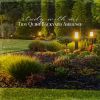 Download track Tidy Quiet Backyard Ambience, Pt. 20