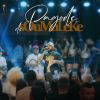 Download track Pra Curtir Um Pagode (Ao Vivo)