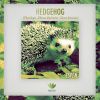 Download track Hedgehog (Original Mix)