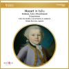 Download track Symphony No. 13 In F Major, KV. 112: IV. Molto Allegro