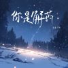 Download track 你是解药 (伴奏版)