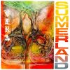 Download track Summerland