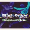 Download track England's Irie (Mal's L. A. Irie Mix)