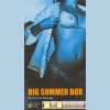 Download track Big Summer Box Disk 2 (02. 00 - 04. 00 Recommended)