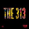 Download track The 313