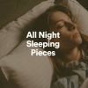 Download track All Night Sleeping Pieces, Pt. 20