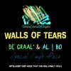 Download track Walls Of Tears (Original Mix)