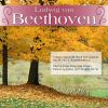 Download track Beethoven: Cellosonate D-Dur Op. 102 Nr. 2 - 2. Adagio Con Molto Sentimento D'affetto - Attacca