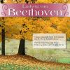 Download track Beethoven: Sieben Variationen Uber 'Bei Mannern, Welche Liebe Fuhlen' Aus Mozarts 'Die Zauberflute' WoO 46 - 5. Variation IV