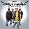 Download track Amor Em Vão