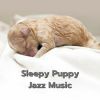 Download track Sleepy Puppy Jazz Music