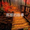 Download track 菩提的故事 (伴奏)