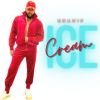 Download track Ice Cream (Acapella Version)