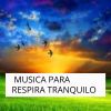 Download track Respira Sin Ansiedad