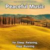 Download track Soothing Relaxation Music For Your Soul