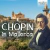 Download track Preludes, Op. 28: XV. Prelude In D-Flat Major 