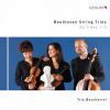 Download track String Trio In C Minor, Op. 9 No. 3: II. Adagio Con Espressione