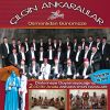 Download track Polatlıya Gidelim - Nağme Gelin