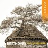 Download track String Quartet No. 12 In E-Flat Major, Op. 127: III. Scherzando Vivace