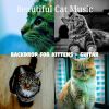 Download track Phenomenal Ambience For Cats