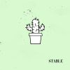 Download track Cactus (Instrumental)