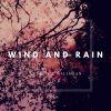 Download track Wind And Rain